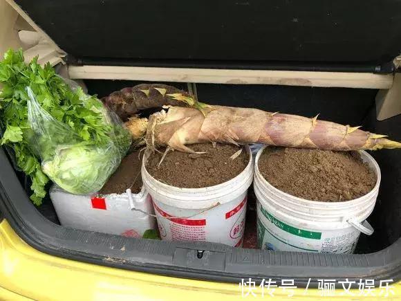 土土质|竹林下的1种土,是养花“极品土”,掺在盆里,啥花都能长得旺!