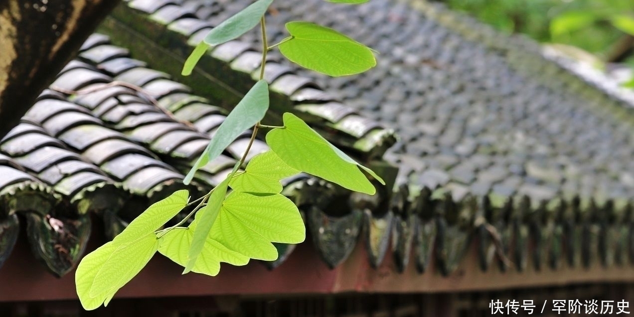 陆游|小楼一夜听春雨，这看似耳熟能详的一句诗，你知道它的下一句吗？