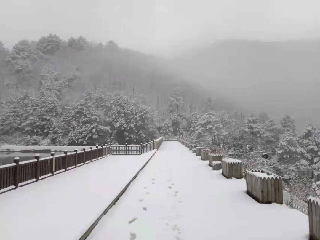 气温|杭州，雪！宁波，雪！绍兴，雪！可能要下到……太刺激了！