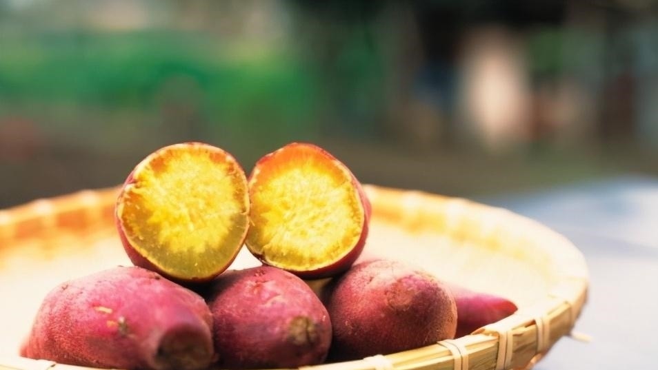 一样是红薯，“红心”和“白心”哪种好？知道以后别再瞎买了