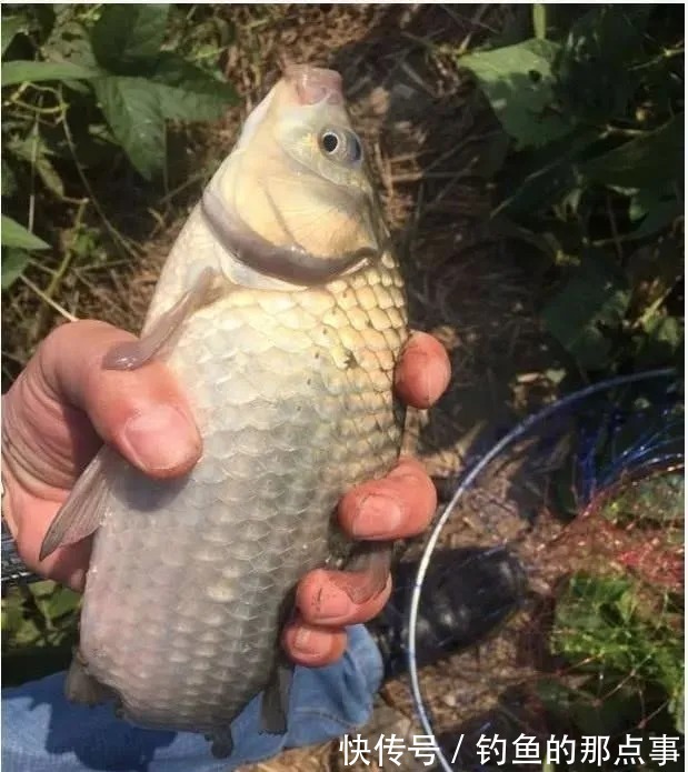 遇到这3种漂相,一定要“忍”,否则错过的都是“大家伙”