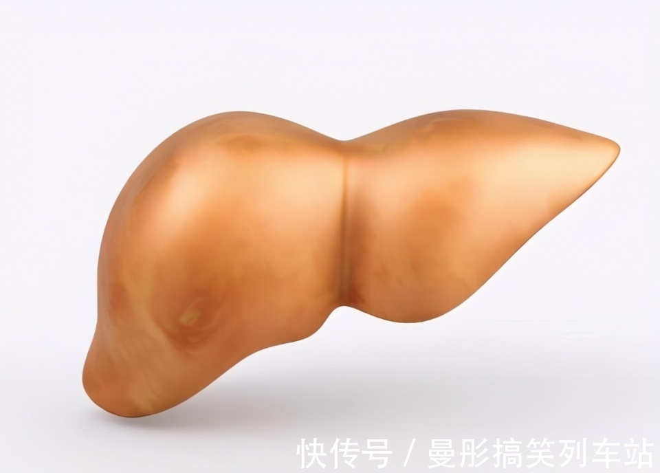 肝脏|肝脏不好,上厕所有3种表现,占一个,最好检查一下肝脏