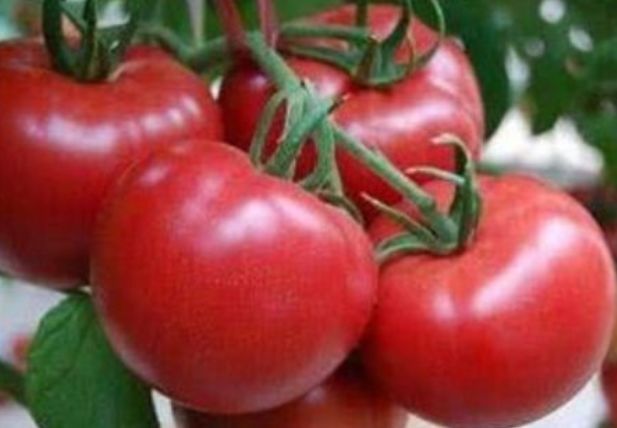 肌肤|每天晚上坚持吃3种食物，营养丰富、滋润肌肤，爱吃就赚了！