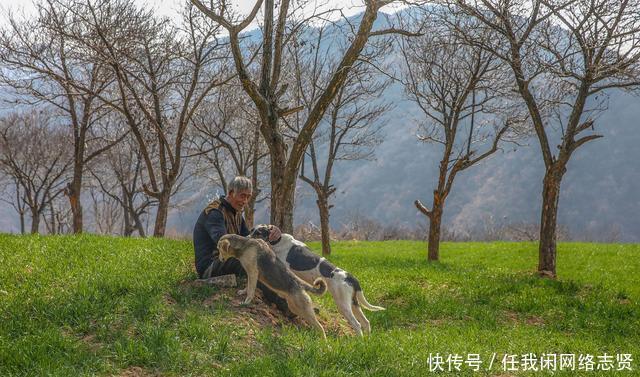 无人机在晋南大山发现桃花岛，7旬老夫妻隐居山中生活让人羡慕