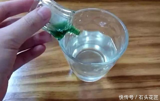 中招|冬天做“2件错事”,花盆里飞出“小黑飞”,你中招了吗?