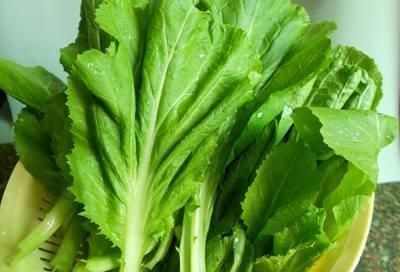 钙质|这个蔬菜,钙含量是牛肉的30倍,却比牛肉便宜很多