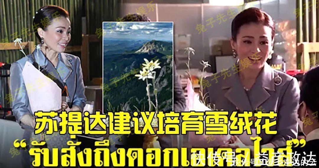 诗妮娜贵妃#苏提达借雪绒花的花语，向泰王表达“真爱”，以德报怨太有肚量了