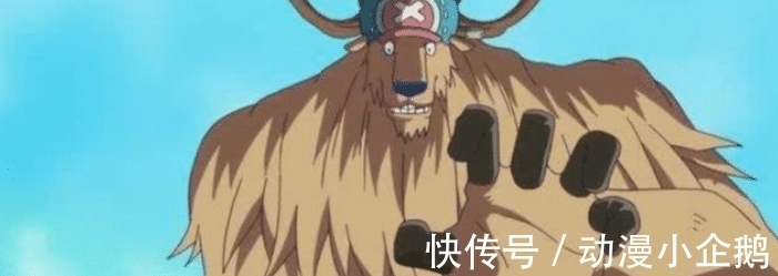 人人果实|海贼王中唯一一颗无限进化的果实,你以为是乔巴,其实是他