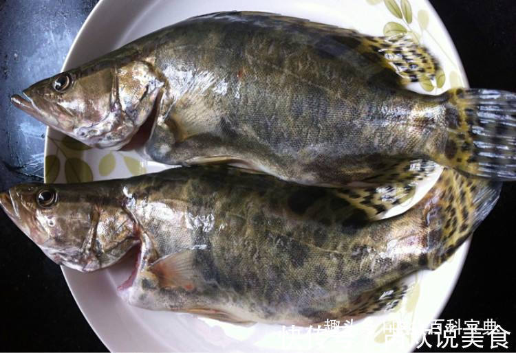 这种河鱼新鲜的没人要,等它发臭后大家却“哄抢”,你猜是啥
