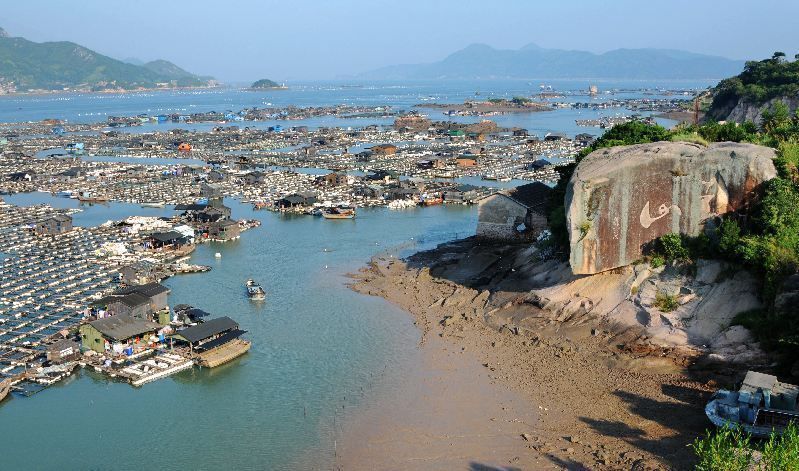 渔排|我国唯一的海上村庄，房屋都在海面上，就连台风也吹不走