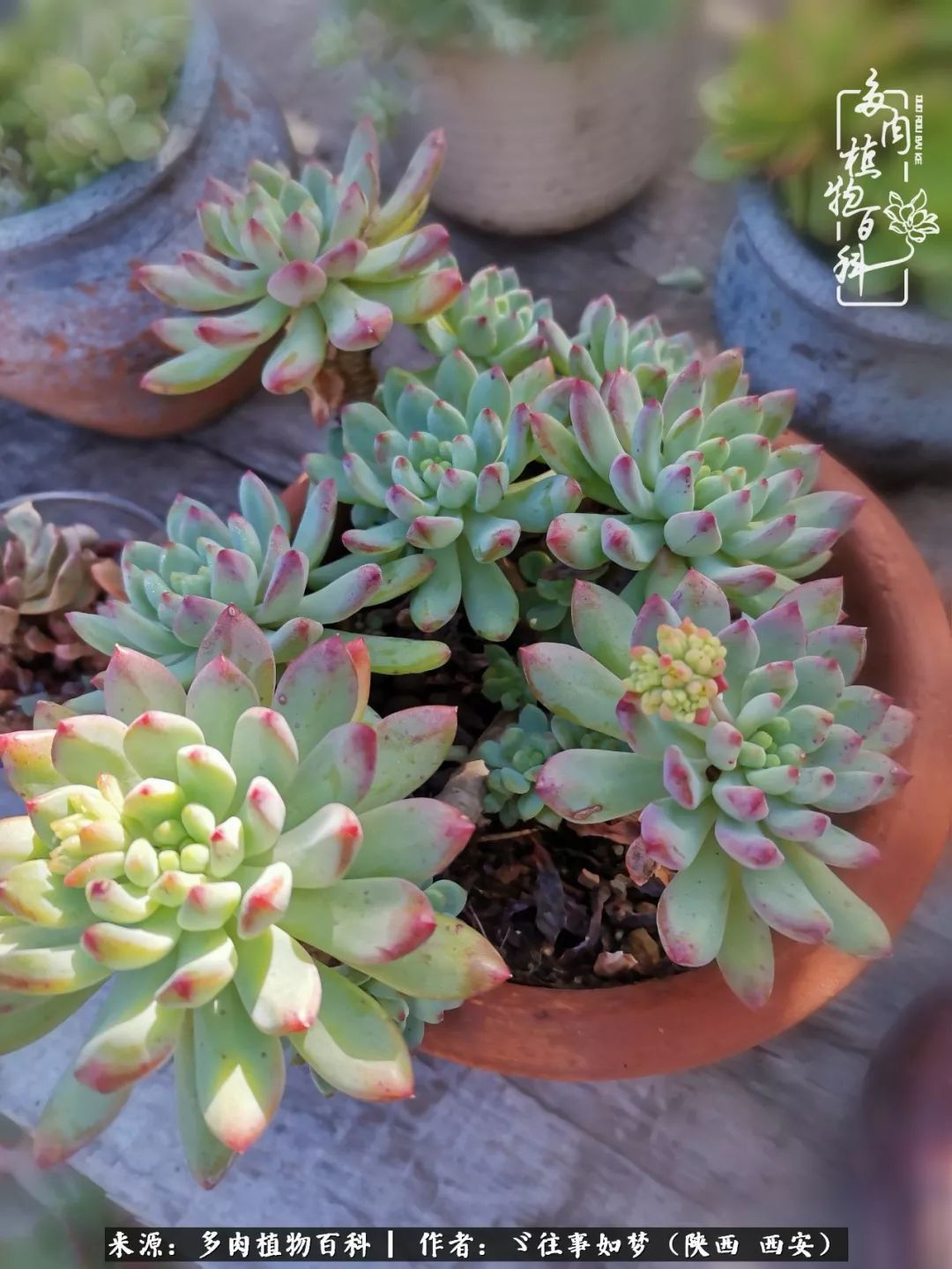 愿你付出甘之如饴，愿你所得归于欢喜！