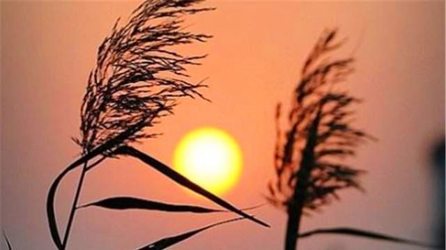 因果|俗语“可怜之人,必有可恨之处”,还有下半句,世间万事皆有因果