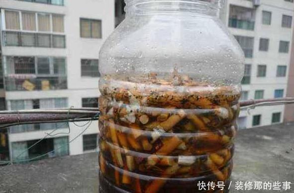 花草长了虫，用家里一些小玩意，一喷就消灭光，药都不用买！