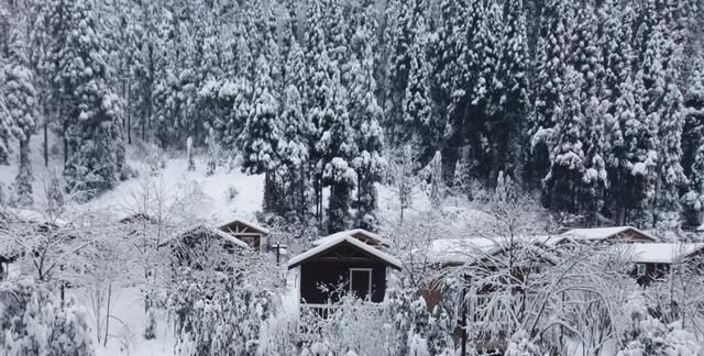 惊艳|仙山秘境、峡谷奇石、胜迹城楼……湖北10个赏雪地，惊艳震撼！