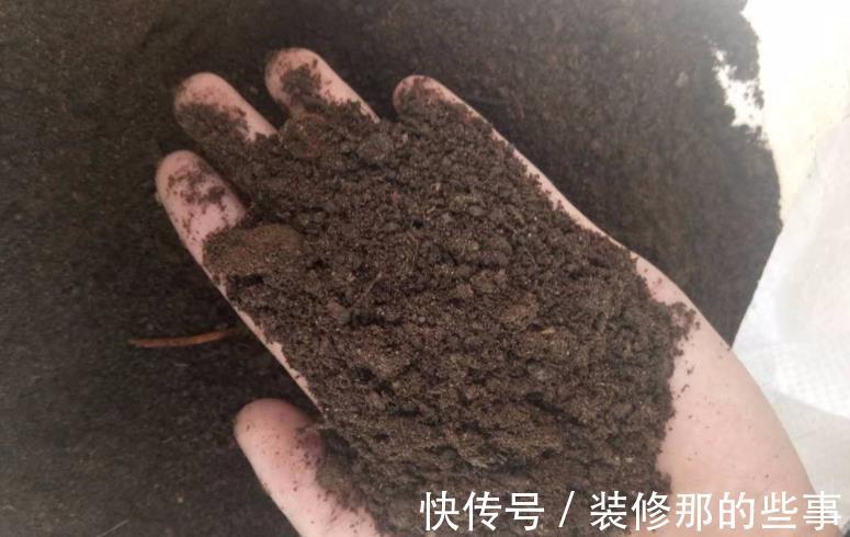 植物|发酵后的羊粪养花,干用和湿用效果不同,而很多人不懂