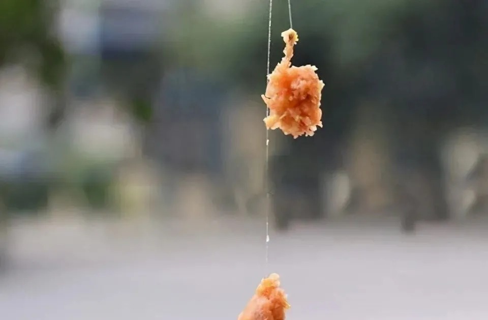 钓位|冬季钓鲫鱼,为什么鱼情差?这5个常识性的错误,总有一款适合你