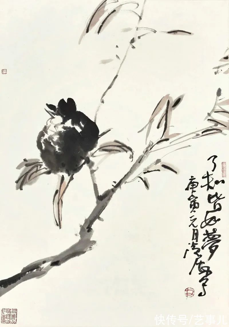 教授!尹沧海教授石榴作品欣赏:清简空灵 独出机杼