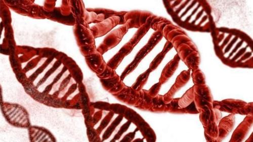 妈妈的血型会影响孩子的智商？外国教授：不是胡说，有科学依据