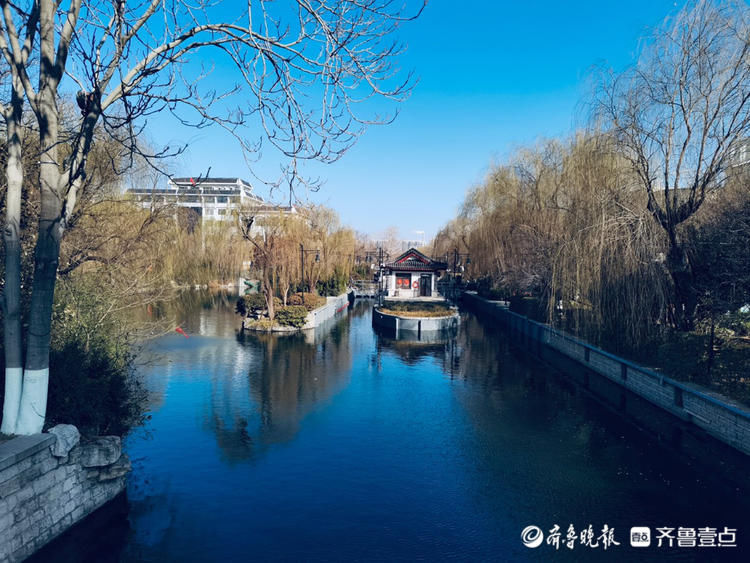 看！朵朵白梅俏立枝头，春的味道愈加浓厚你感受到了吗|情报站| 看！朵朵白梅俏立枝头，春的味道愈加浓厚你感受到了吗\＂,\＂i16\＂:\＂情报站