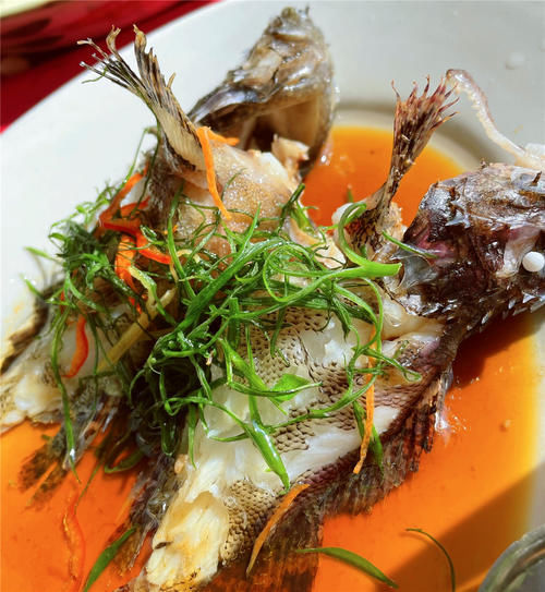 日照旅游万平口和森林公园哪个好，各有优势可看这篇文章根据喜好选择