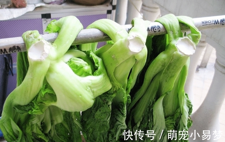 腌酸菜,放盐是大错!教你老方法,3天就腌好,1年不坏,比买的香