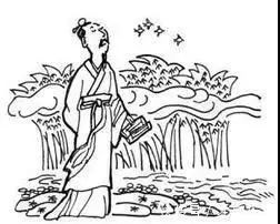 凿壁#十五个著名的文学典故,你知道多少?