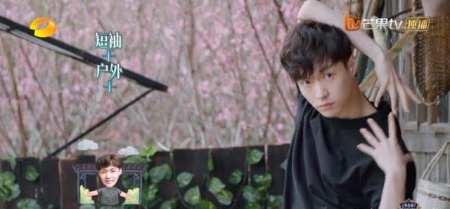 彭彭 向往的生活:刘晓邑这样的演员,才是节目需要的完美嘉宾