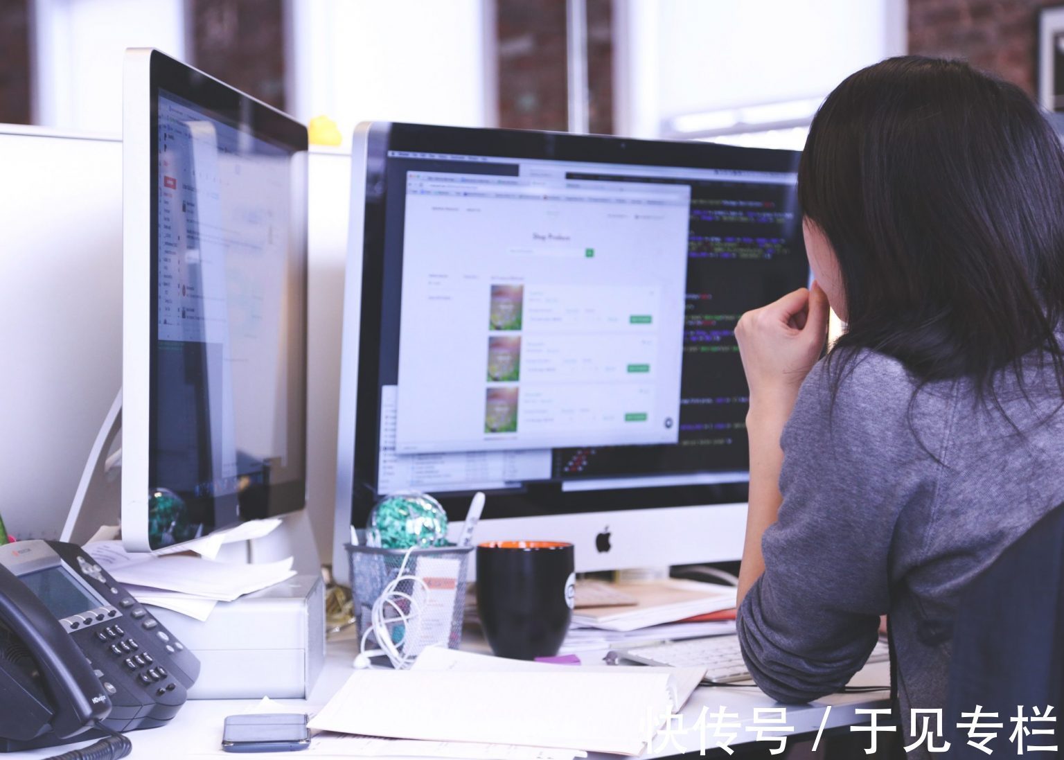 严莉|程序员的风口还在吗?
