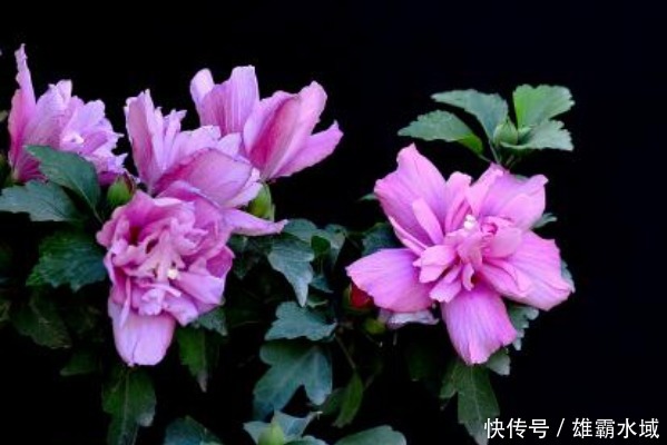 俗话说:人有脸,树有皮,想要“财福”从天而降,别丢了4种尊严