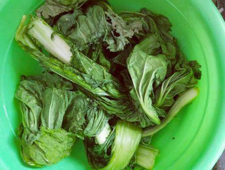 腌酸菜时，有人加开水有人加盐水教你正确做法，一星期就变酸