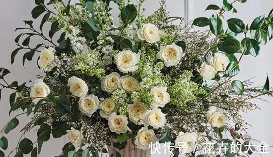 奥斯汀|养月季,要有耐心,掌握方法技巧