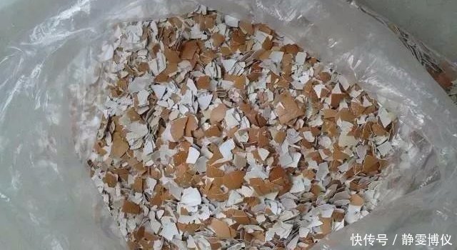 养花不用买土,用这几样东西掺一块儿,种什么花草都旺