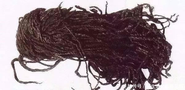 金蚕|马未都:这条金蚕,当年无人问津!