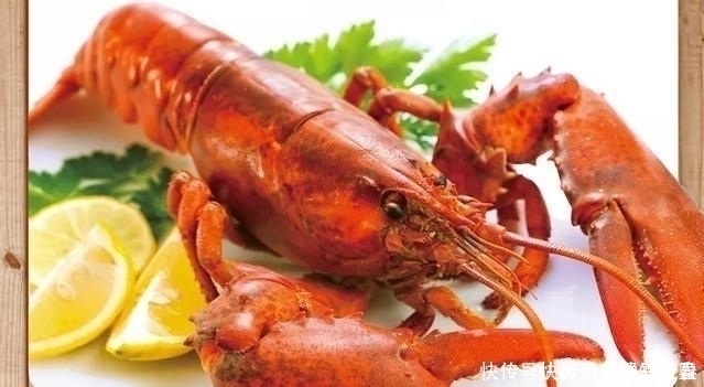 瑞士|瑞士厨师被龙虾难倒,一定要弄晕再烹饪,中国厨师只用两字就搞定