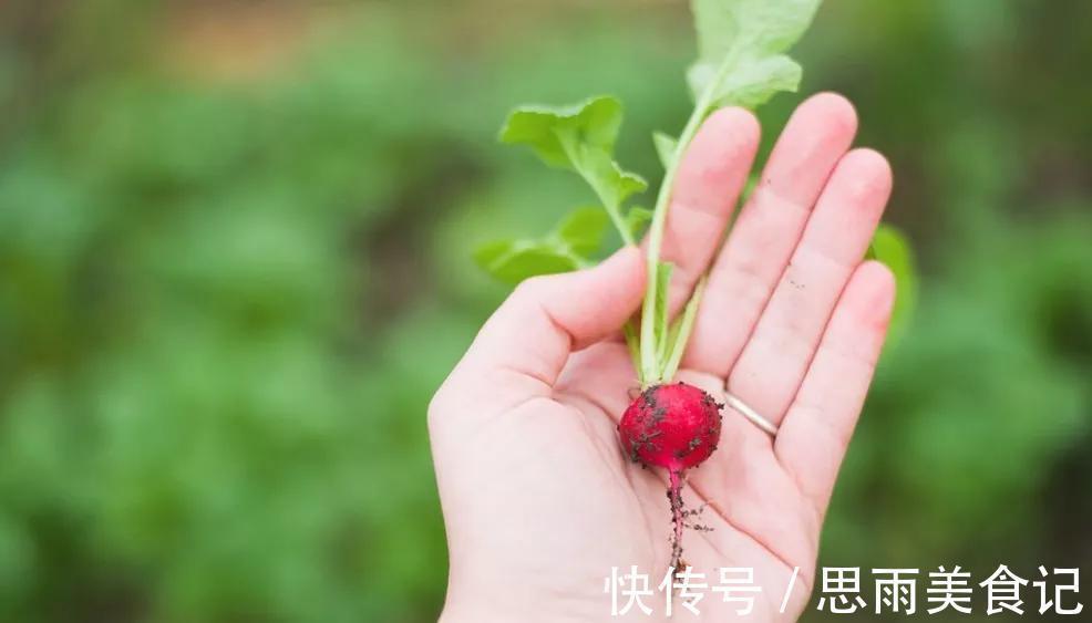 营养|补钙是牛奶2倍,补钾是香蕉6倍!这些蔬菜才是真正的营养冠军