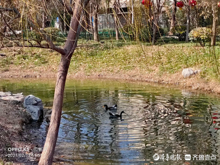 节日漫步济宁古运河畔，春的气息扑面而来|就地过年?春在身边| 老年
