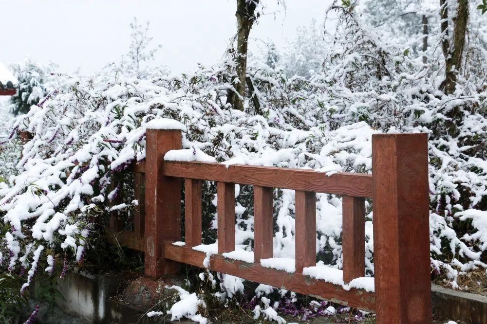 秘密|这个秘密只告诉你，刷爆朋友圈的广元雪景，都在这里了！