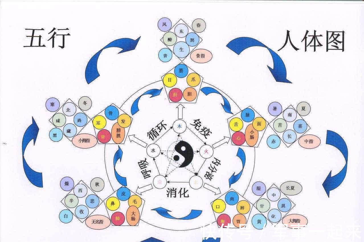 五常|老祖宗：人生有“五常”、“五行”、“五福”，越早知道越好！