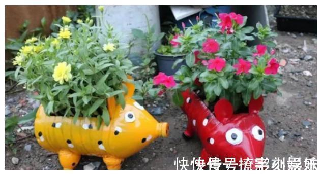 太阳花|别人不要的饮料瓶,被他改成五颜六色花盆,过程引近450万人围观