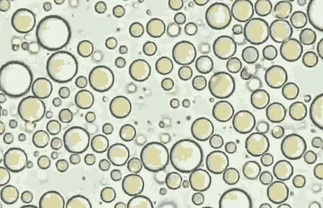 显微镜|冰冻母乳的营养到底有没有流失显微镜2000倍放大的结果,令人意外