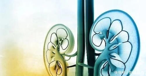 苦丁茶|长期服用“降压药”的人,2个问题可能“不请自来”,别不放心上