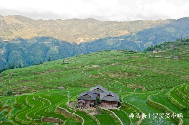 贵州最漂亮的梯田原来在这里，聚山水灵气之精华，去一次终身难忘