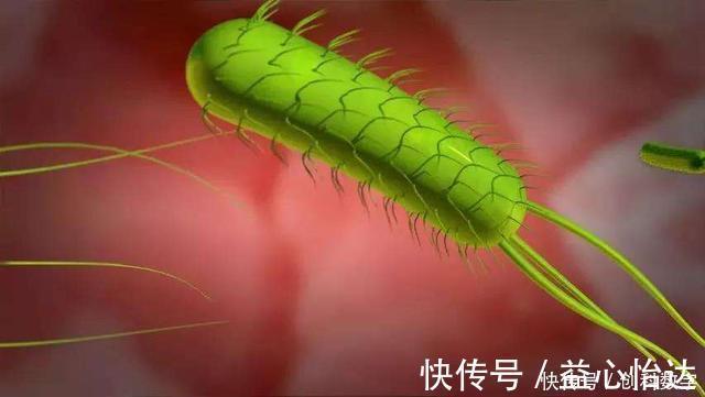 虫子|幽门螺杆菌最怕不是“大蒜”,而是这1物,经常吃,胃会感谢你