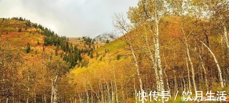 清朝|清朝诗人赵翼最唯美的一首诗,最是秋风管闲事,红他枫叶白人头!