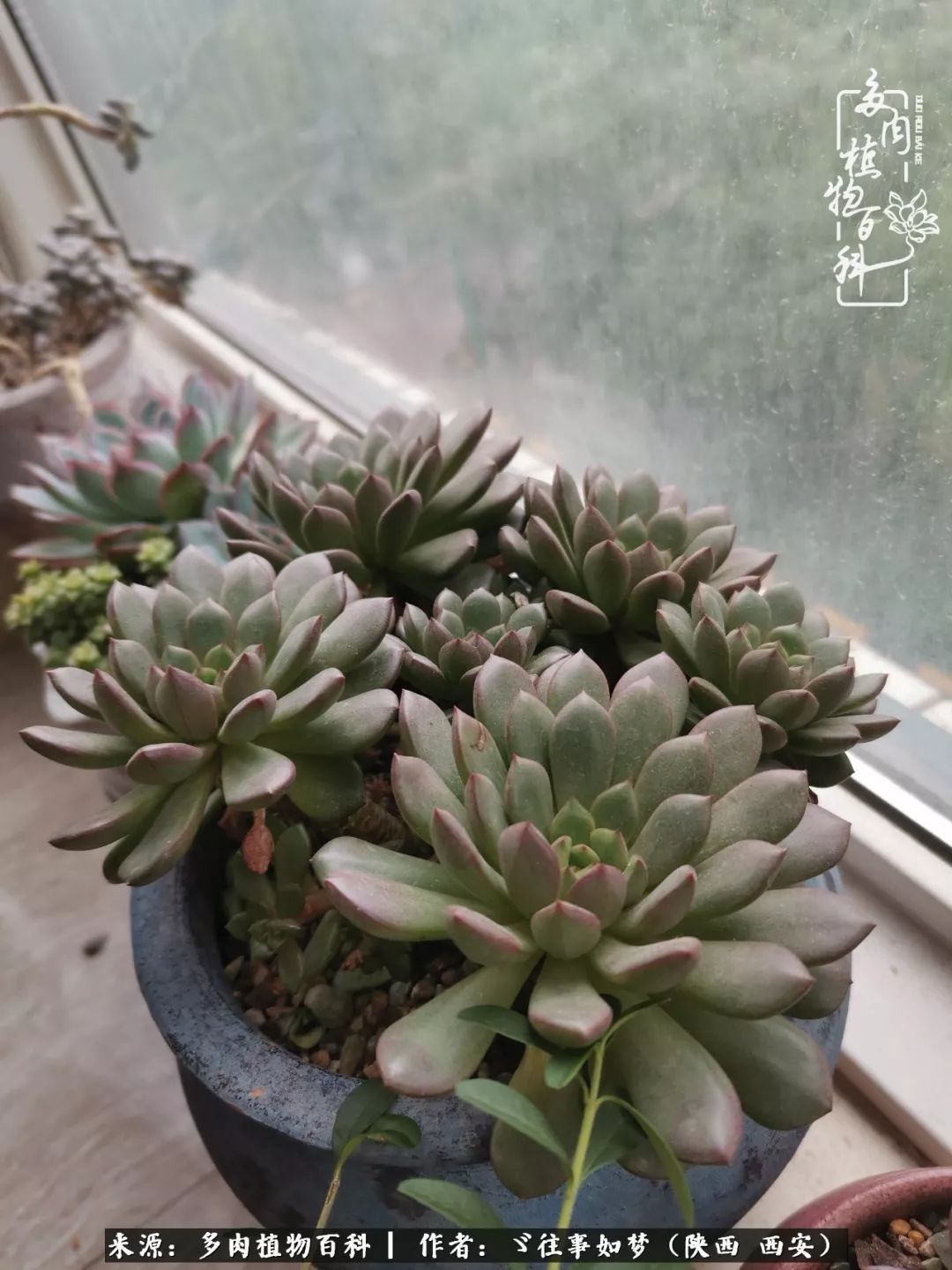 愿你付出甘之如饴,愿你所得归于欢喜!