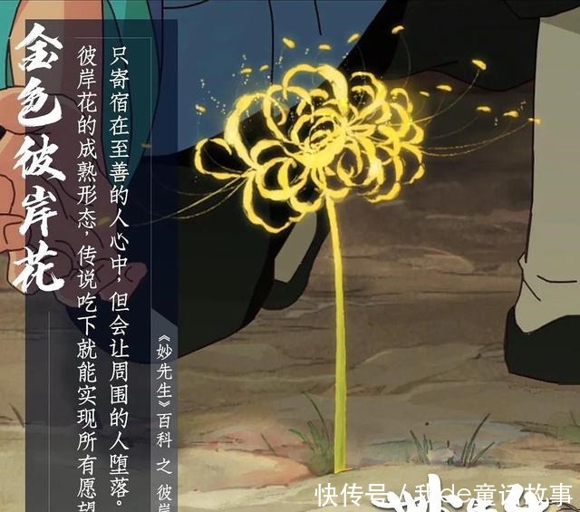 大护法|看完了火遍抖音的失足女云香,带你详细的了解一下《妙先生》