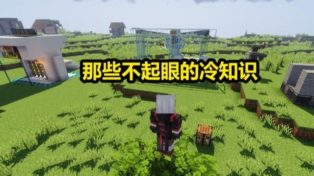 知识|我的世界：那些看起来没用，却不容忽视的冷知识，你知道多少？