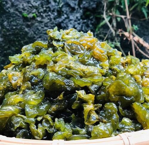 春天了，5样“野菜”别错过，包成饺子，鲜嫩美味，很好吃