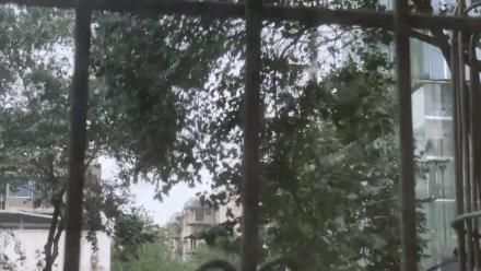 降雨|降温+大风+降雨,气温要将至个位数啦!