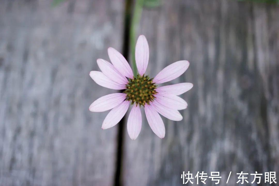 醒悟|人生的醒悟,从三次“接受”开始